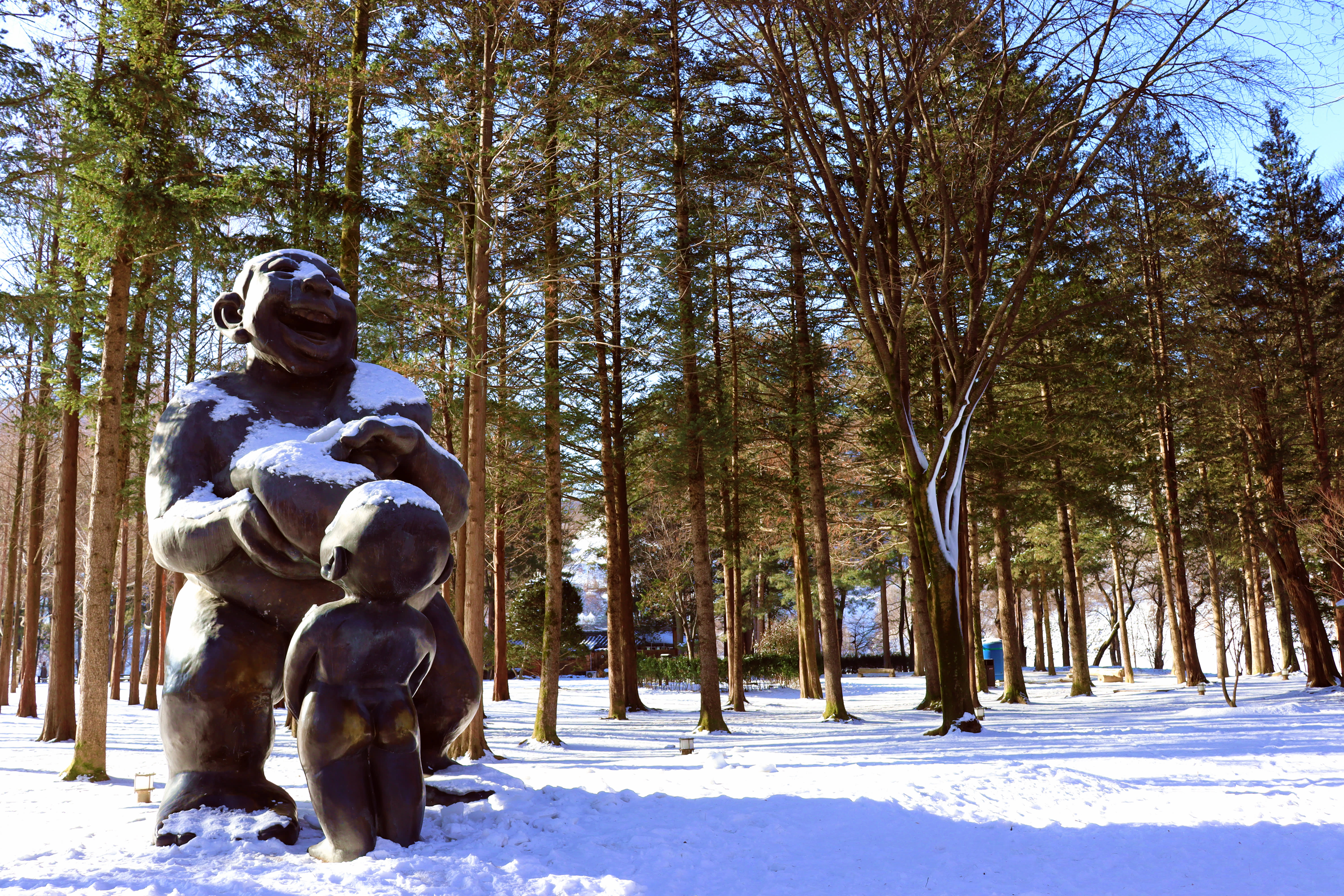 【从首尔出发】韩国南怡岛＋伊利希安江村度假村滑雪场一日游