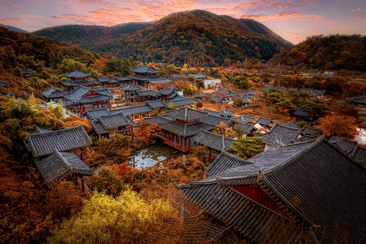 [From Busan] Gyeongju Autumn Foliage Day Tour