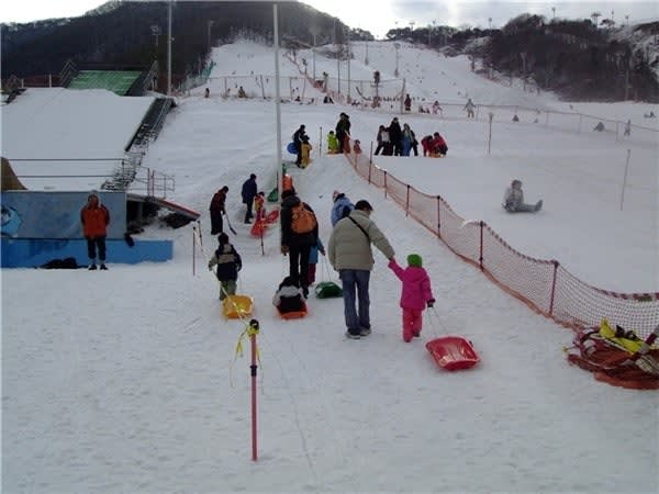  Jisan Forest Resort Day Tour (Snow Sled)