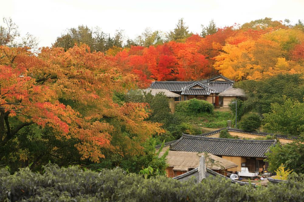 [从釜山出发] 庆州世界文化遗产一日游