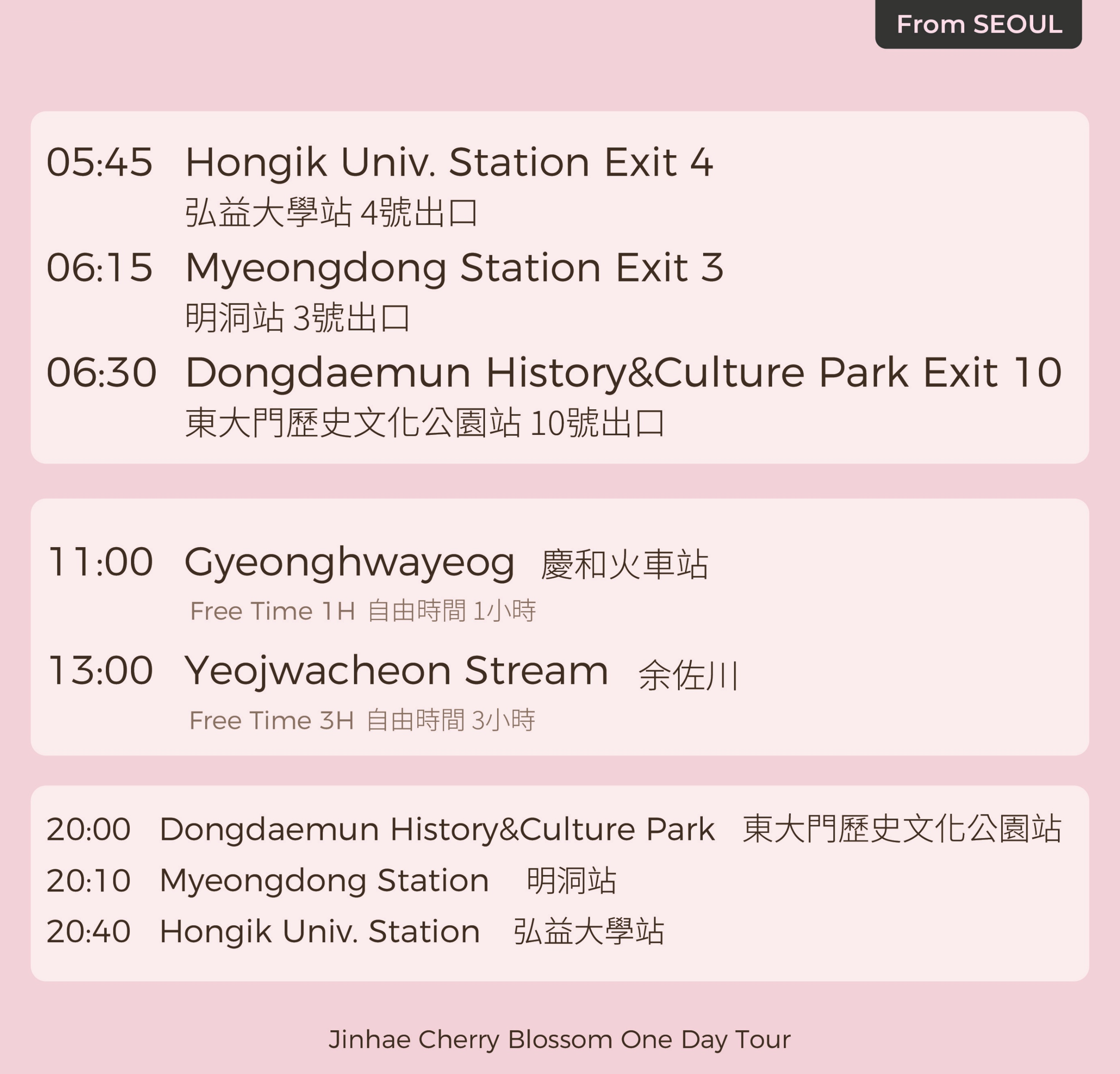 Jinhae Pink Cherry Blossom Festival Tour from SEOUL