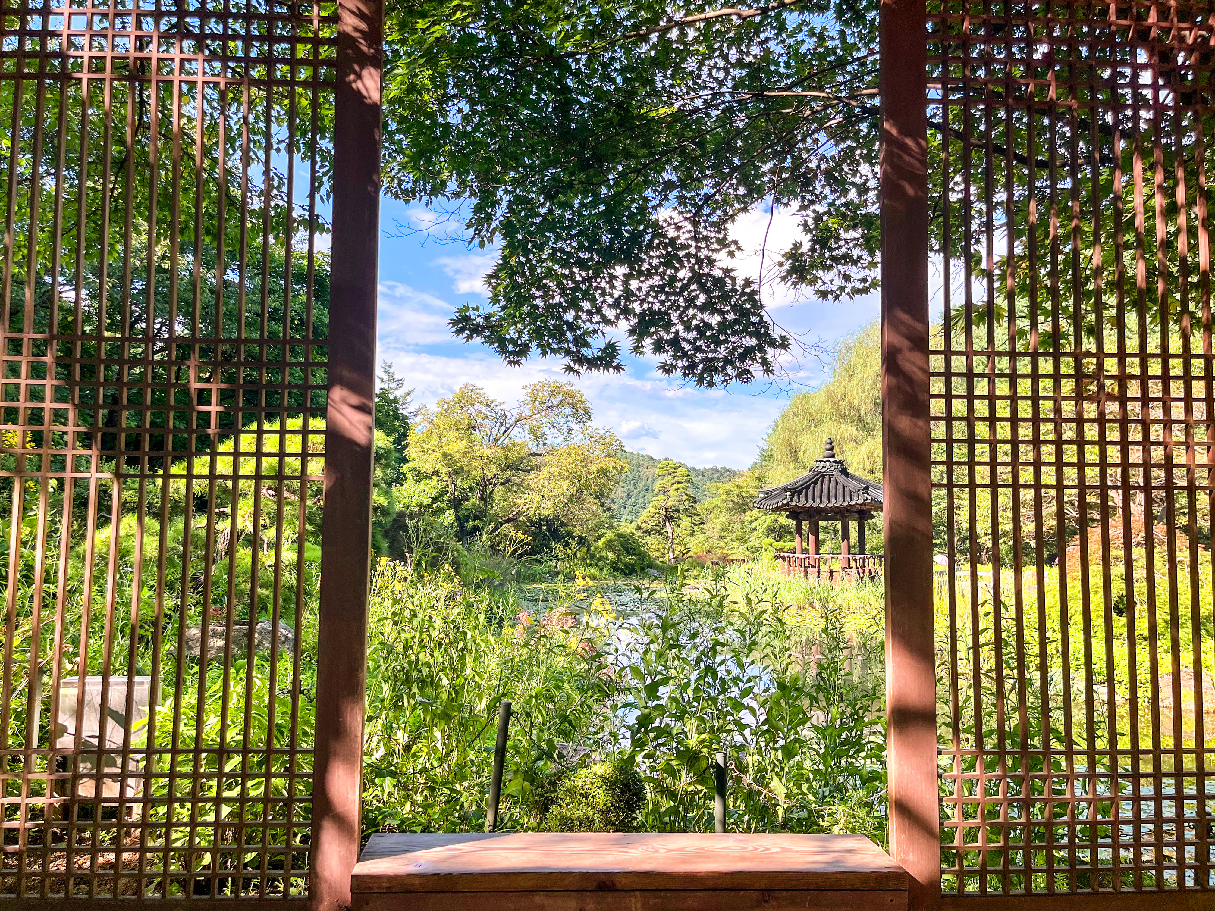 Day Trip: Nami + Rail Bike + Garden of Morning Calm