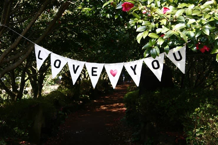 [Jeju] Camellia Hill Botanical Garden