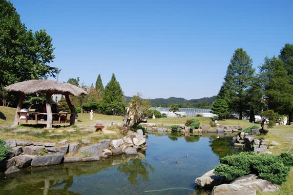 [济州市出发] 济州岛中文观光一日游