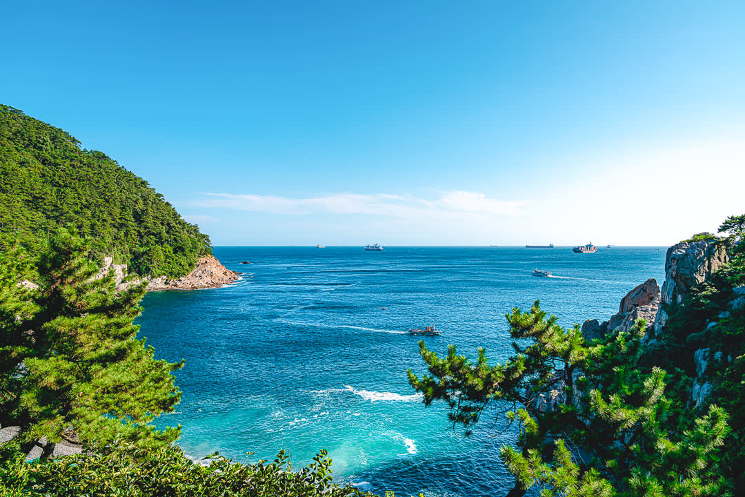 [Busan] Songdo Marine Cable Car + Taejongdae + Gamcheon + Yonggungsa Temple Private Tour
