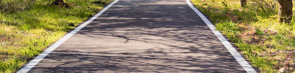 [ソウル発] 全州 春ツアー [韓屋村＋完山公園 桜＋覚願寺]