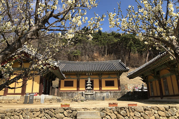 [釜山発]世界遺産・安東「河回村」日帰りツアー