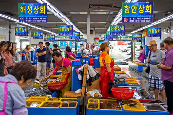 釜山グルメ「海鮮料理・刺身」＆釜山ナイトツアー