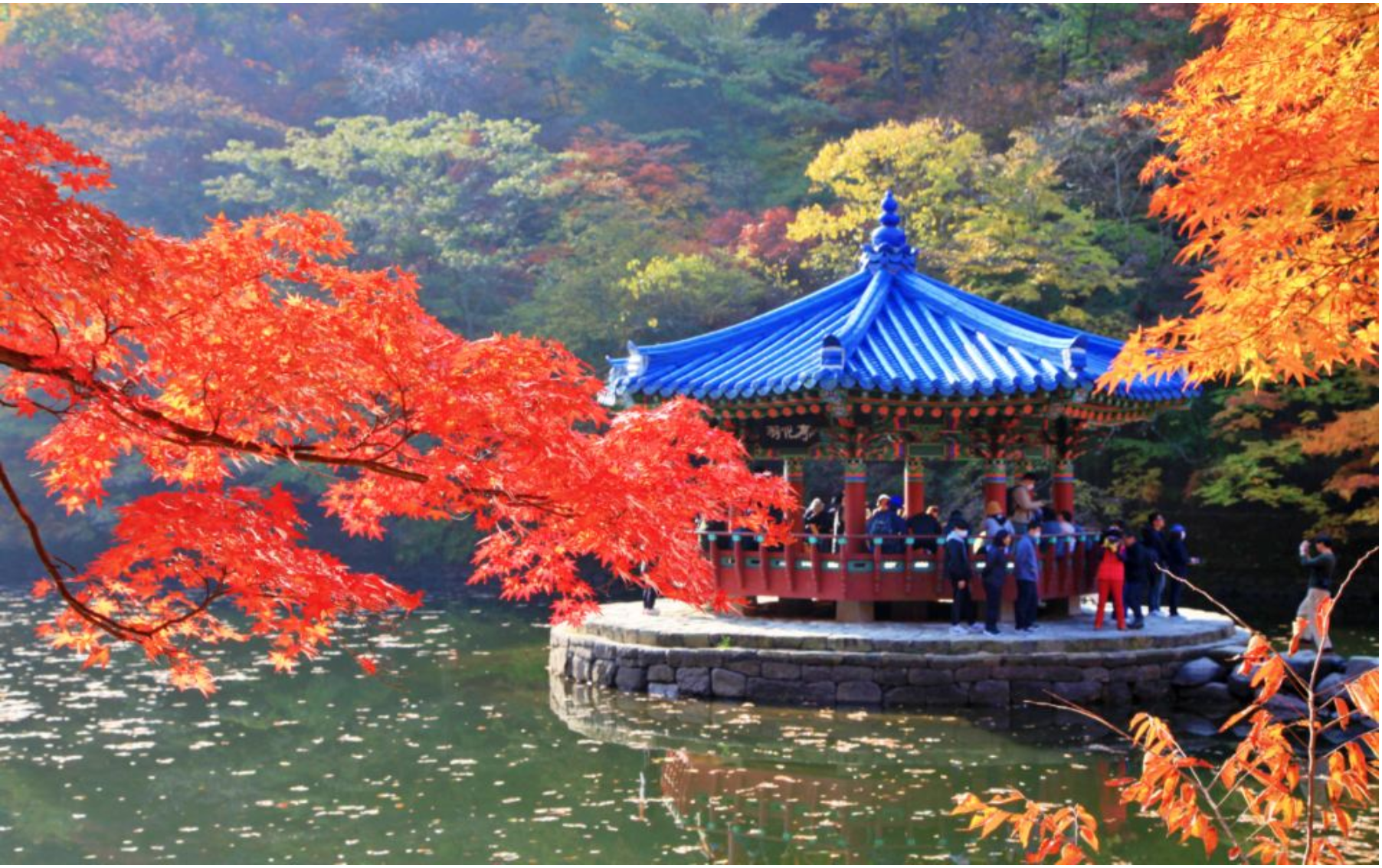 Autumn - Naejang National Park Maple Leaves Day Tour