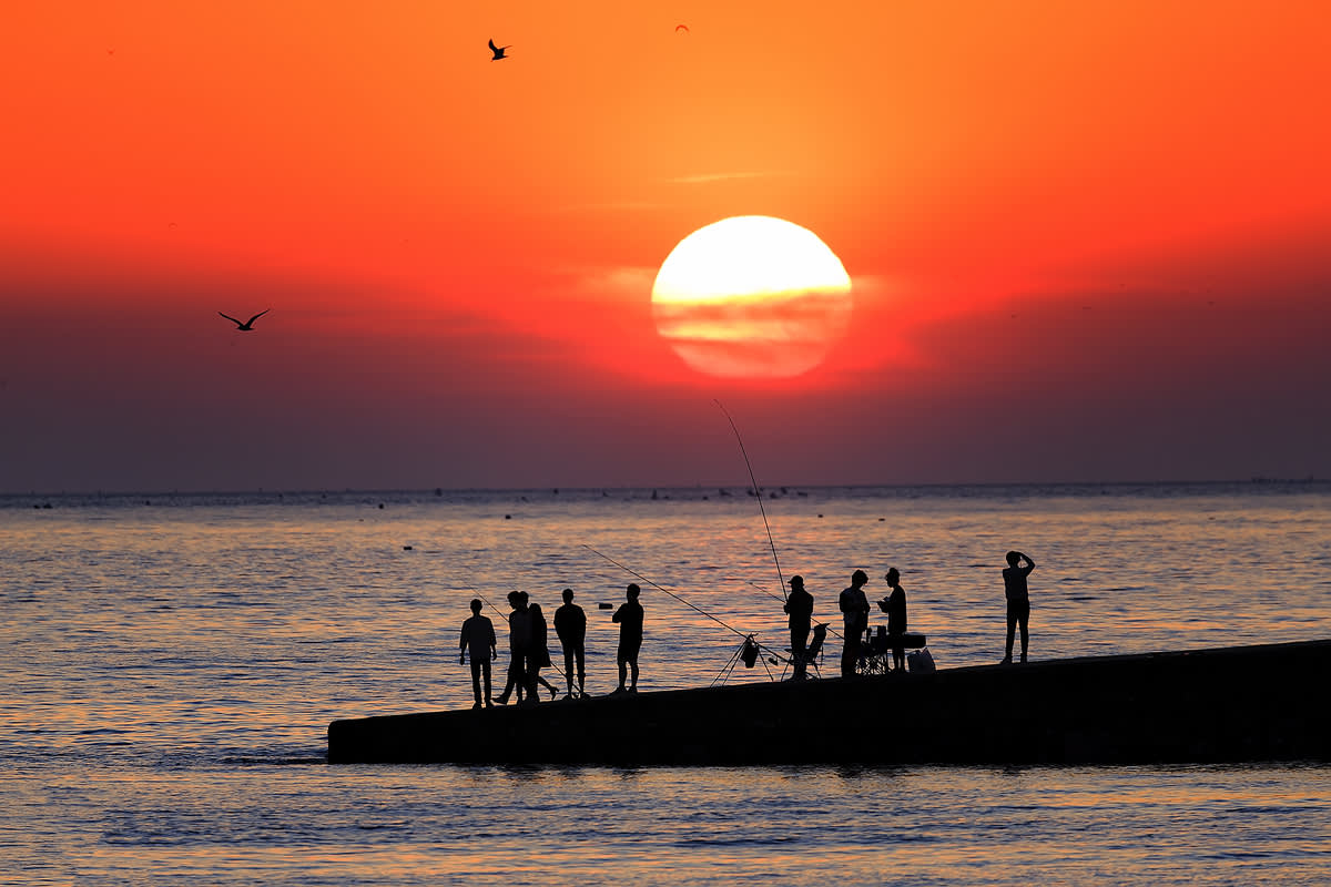 Eurwangni Private Car Charter (9-Hours)