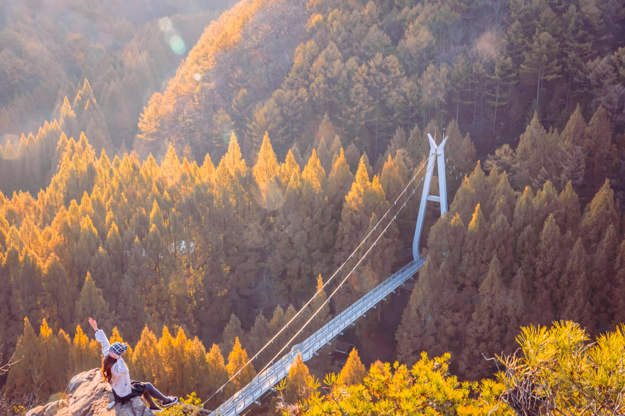 [From Seoul] Daejeon Autumn Day Tour: Jangtaesan, Hanbat Arboretum & Sungsimdang