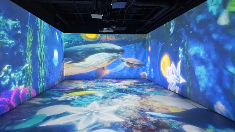 [果川] Wonder Park神奇乐园优惠券