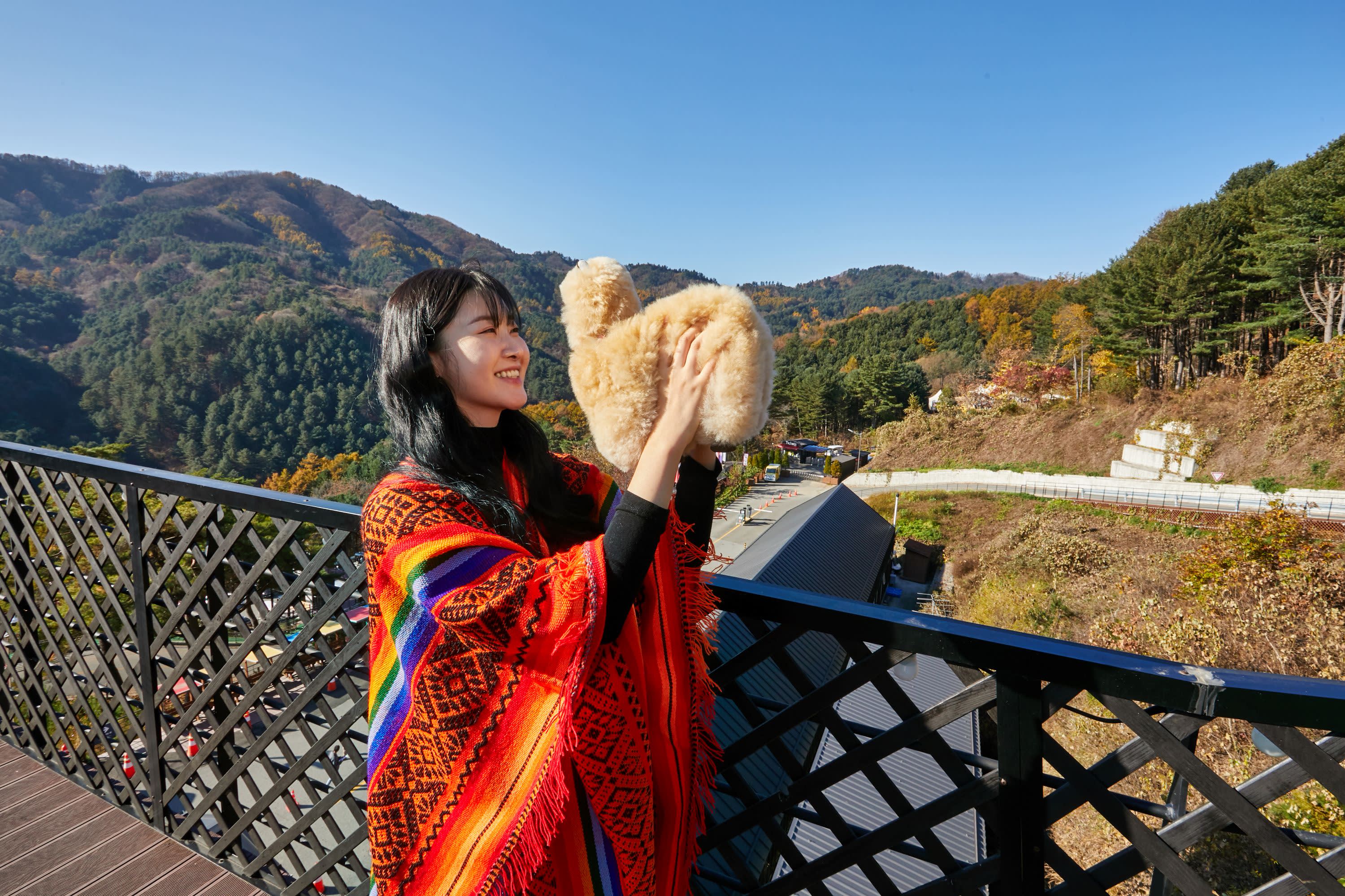 [Best Seller] Nami Island + Alpaca World + Gangchon Railbike Day Tour from Seoul