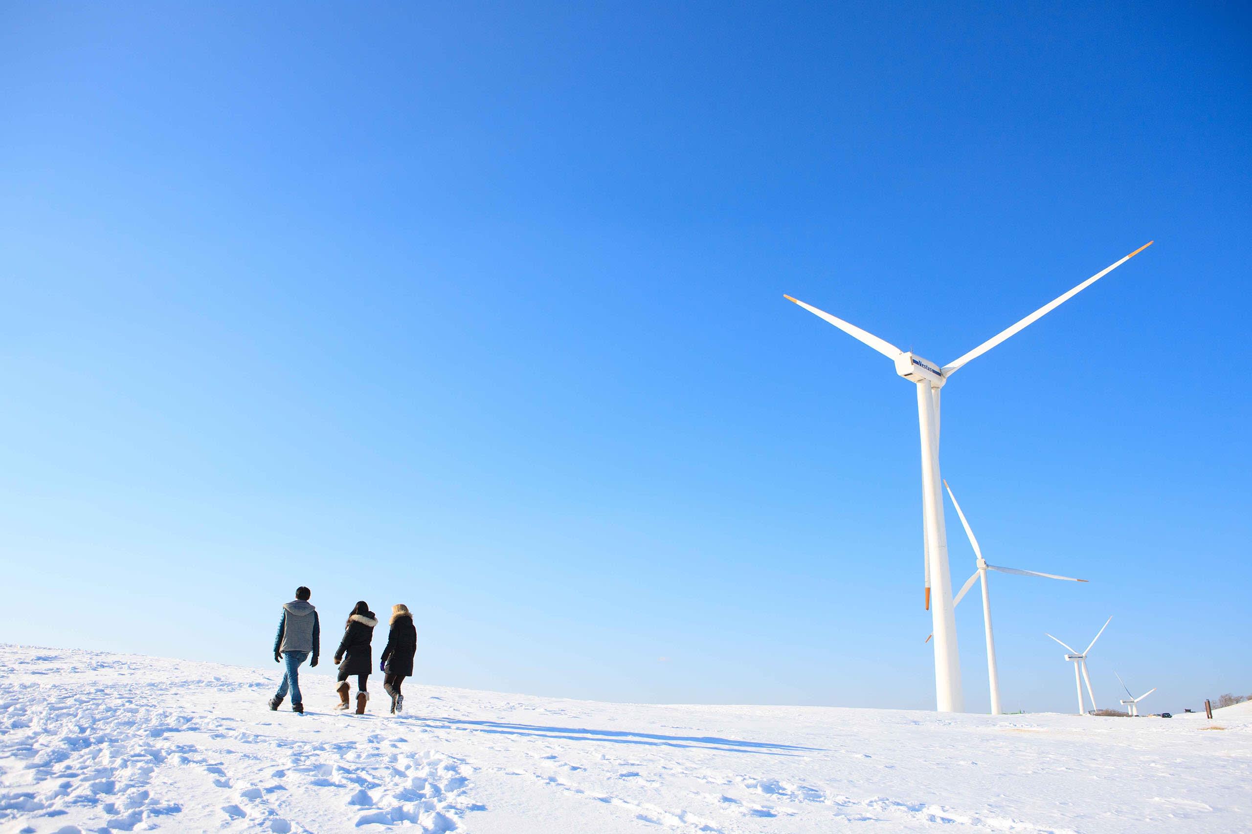 【シーズン限定】BTS 名シーンを巡る冬の1日ツアー