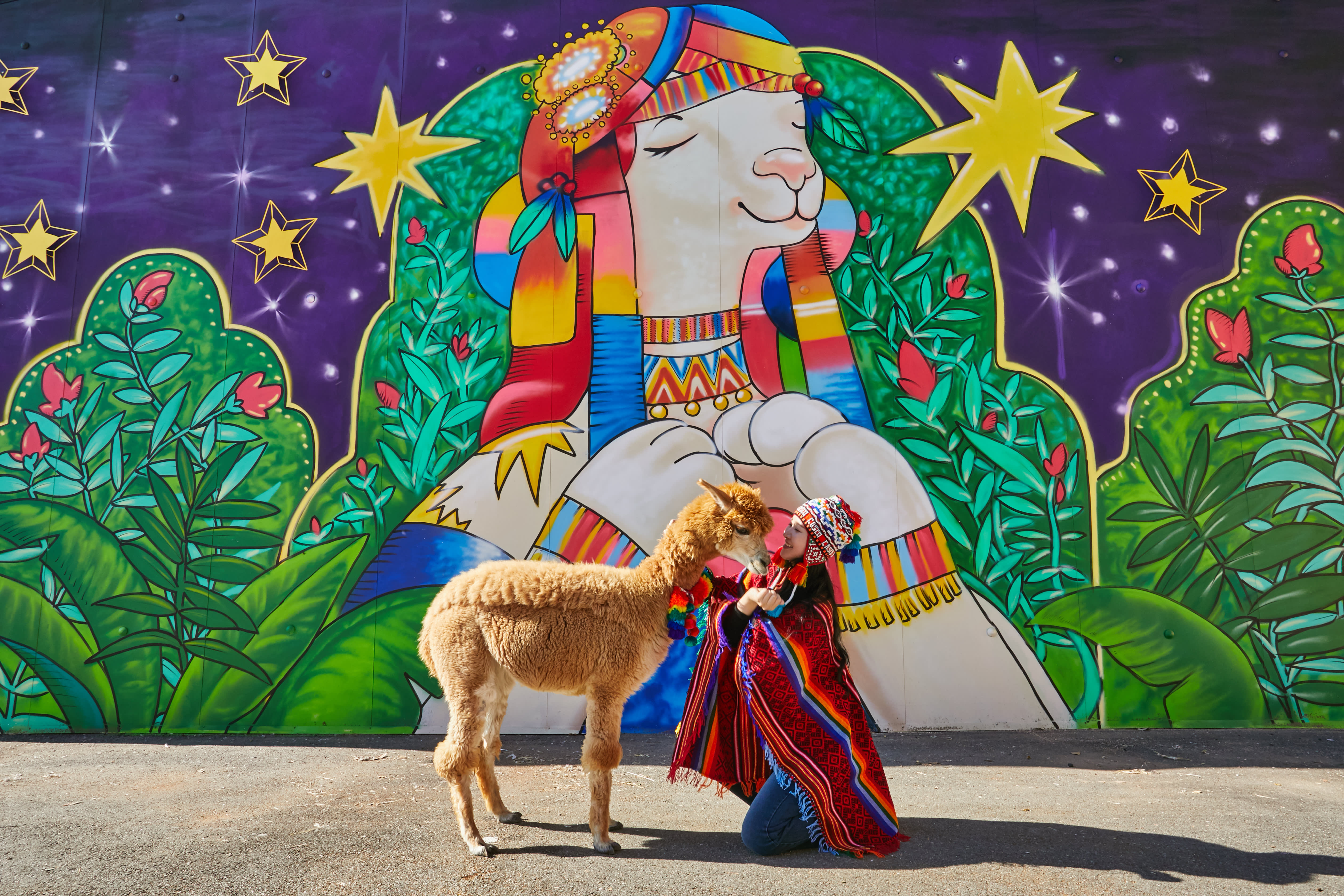 羊驼乐园+南怡岛+晨静树木园