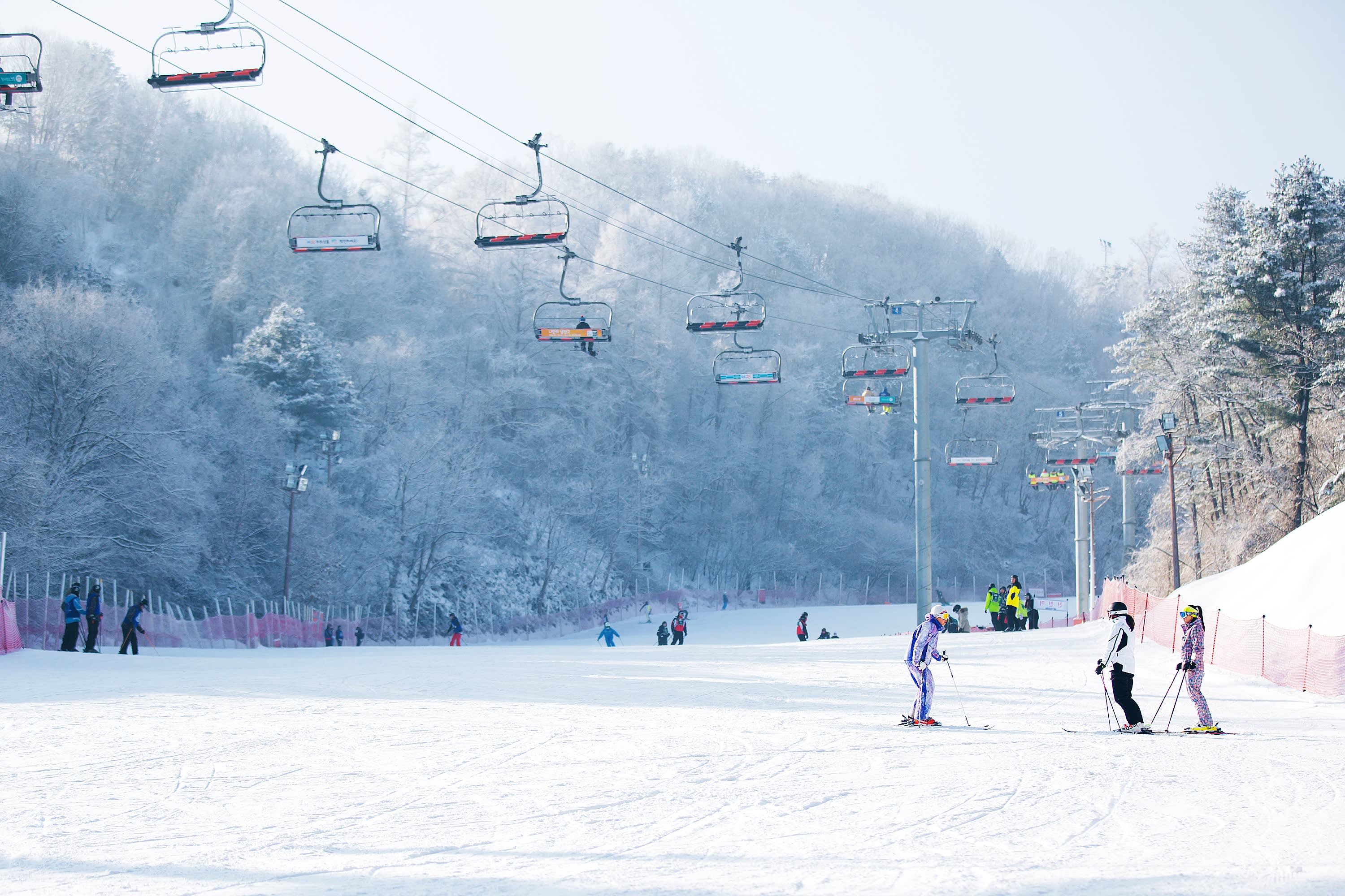 [From Seoul] Elysian Gangchon Private Ski Tour