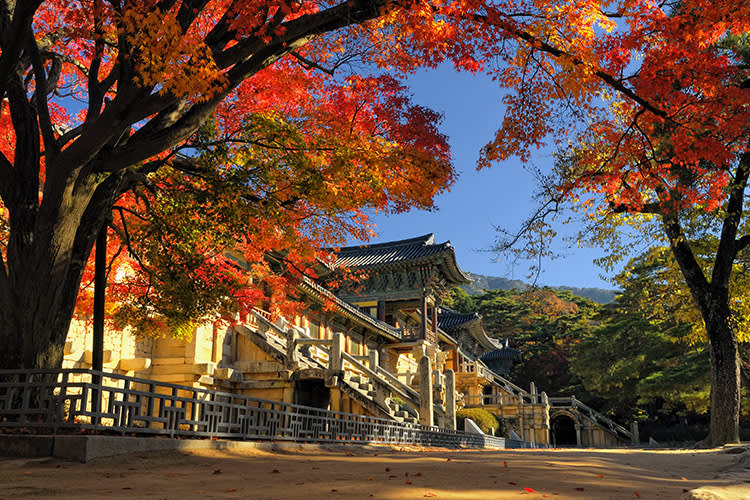 [Busan - Gyeongju] Busan Sky Capsule + Gyeongju Historic Areas Tour 
