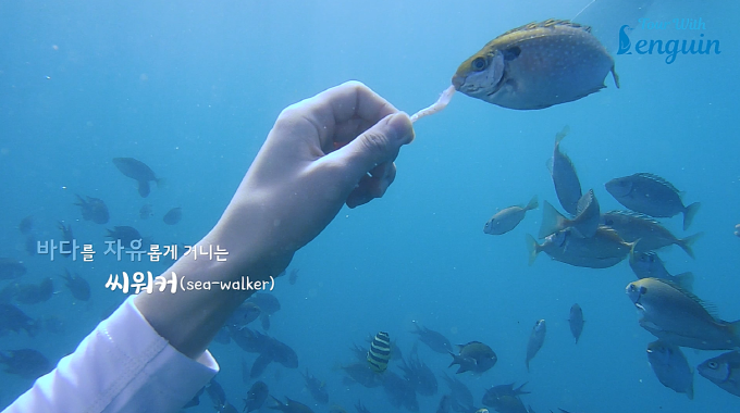 [Jeju] A unique experience of enjoying the sea, Sea Walker