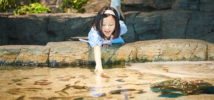 [一山]アクアプラネット一山(イルサン)入場割引チケット(外国人専用)