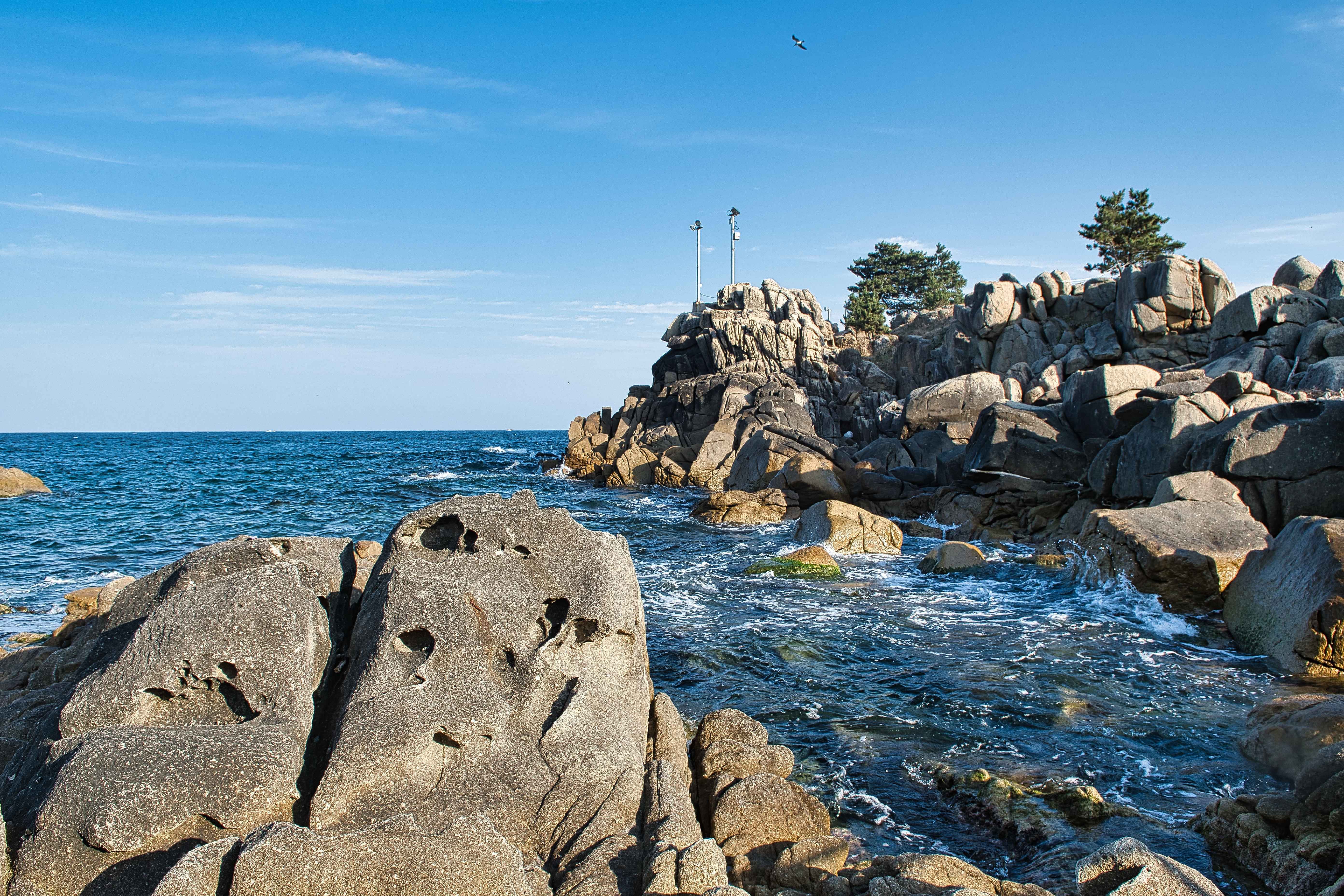 【シーズン限定】BTS 名シーンを巡る冬の1日ツアー