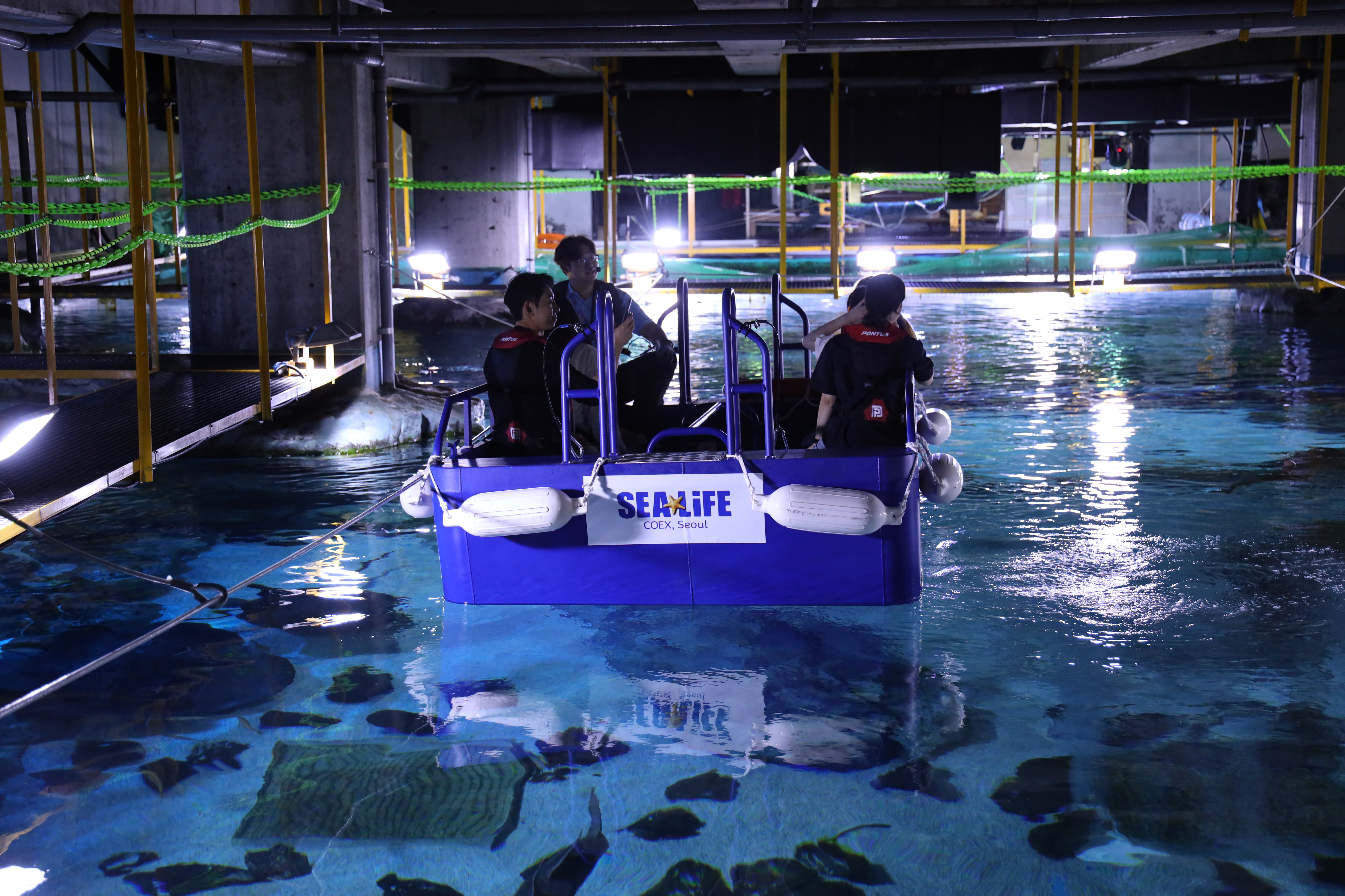 [首尔] SEA LIFE COEX, Seoul Aquarium水族馆门票