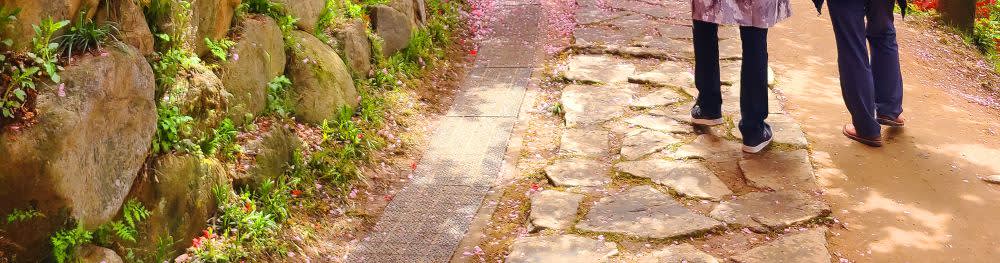 [ソウル発] 全州 春ツアー [韓屋村＋完山公園 桜＋覚願寺]