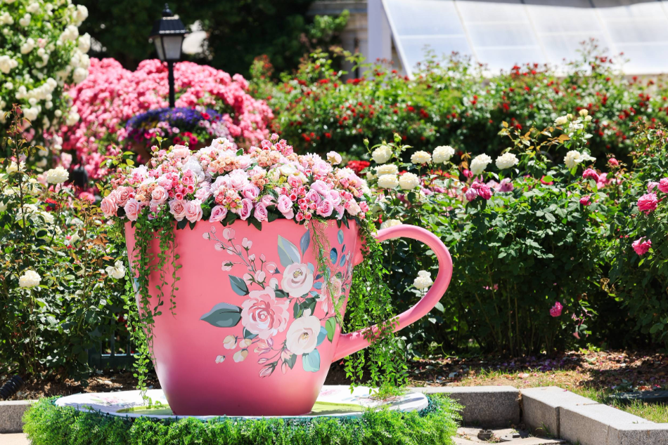 [Everland] Everland Ticket (All day pass)