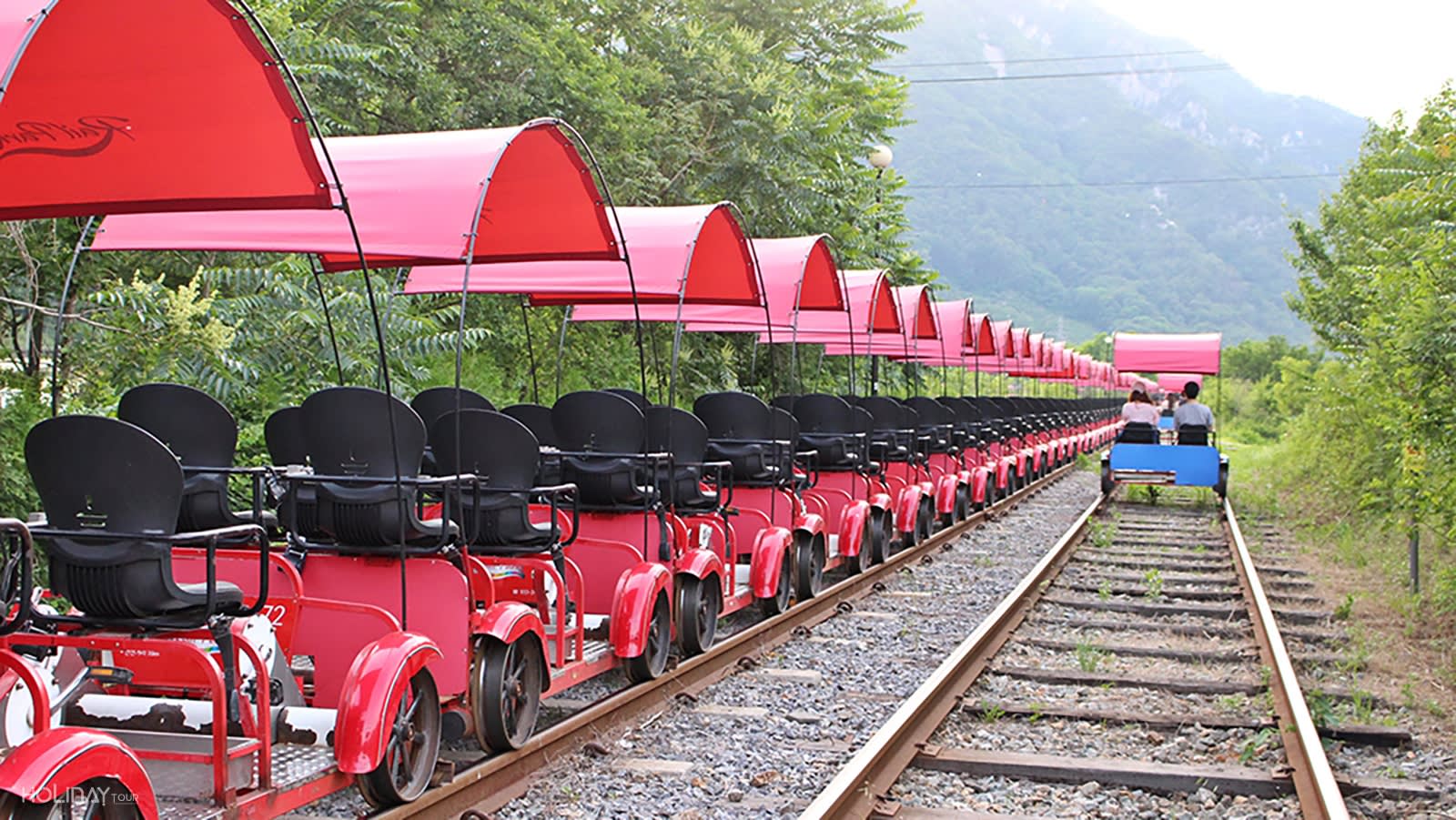 [江原道] 南怡島・プチフランス・江村レールバイク・イタリア村・アチムゴヨ樹木園 日帰りツアー
