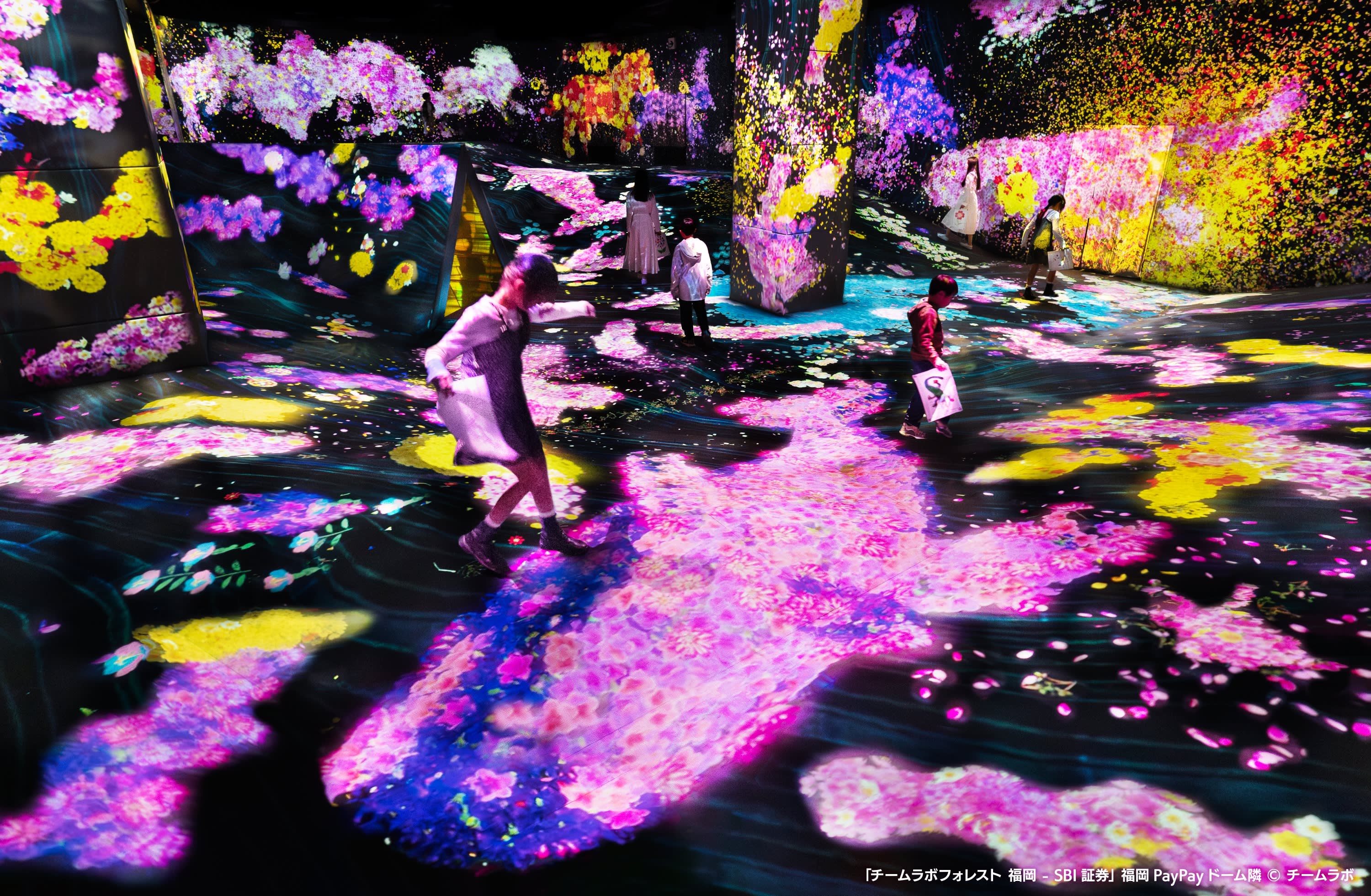 이조 후쿠오카 팀랩 포레스트 입장권 해외 필수 투어·티켓 | NOL