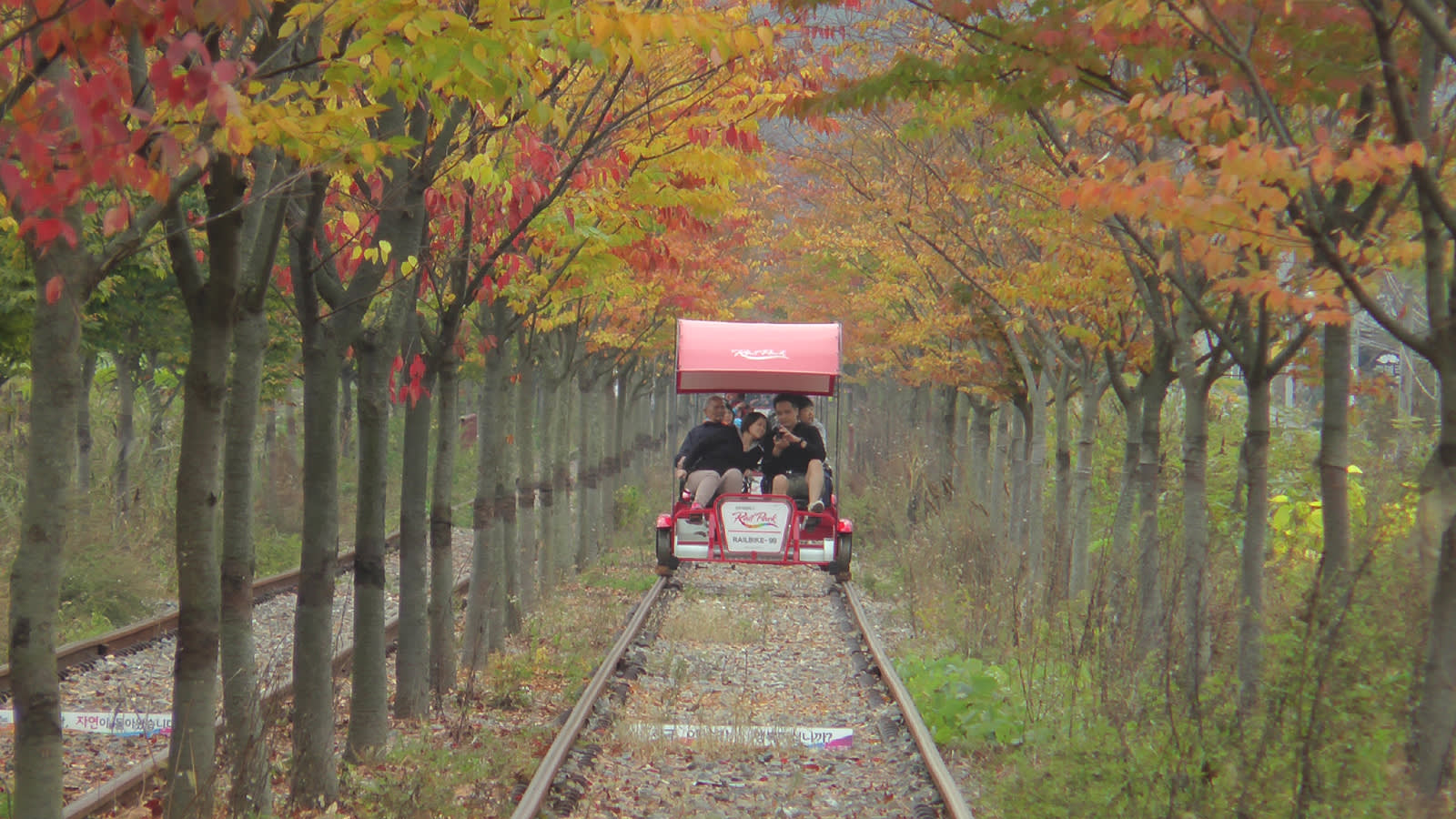 江村レールバイク 乗車チケット （京江駅）