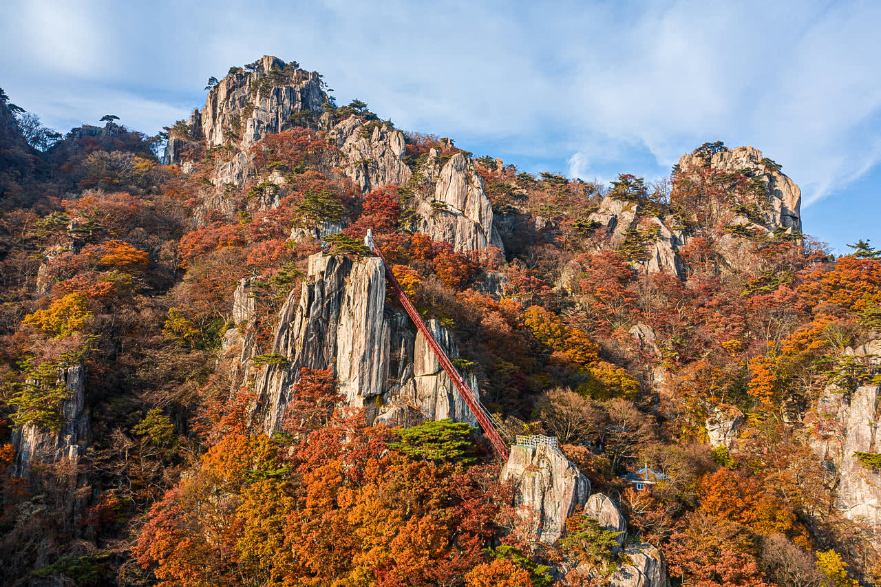 [From Seoul] Daedunsan Scenic Views & Baekje Buyeo Heritage Day Tour