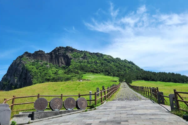 [中文/西归浦出发] 济州岛自然风光全日游(含SKYWATER SHOW)