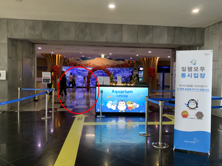 [济州岛]Aqua Planet水族馆门票(外国顾客专用）