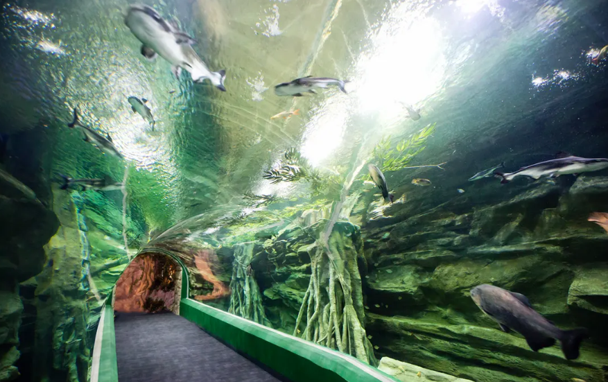 [首尔]蚕室乐天世界水族馆优惠入场券
