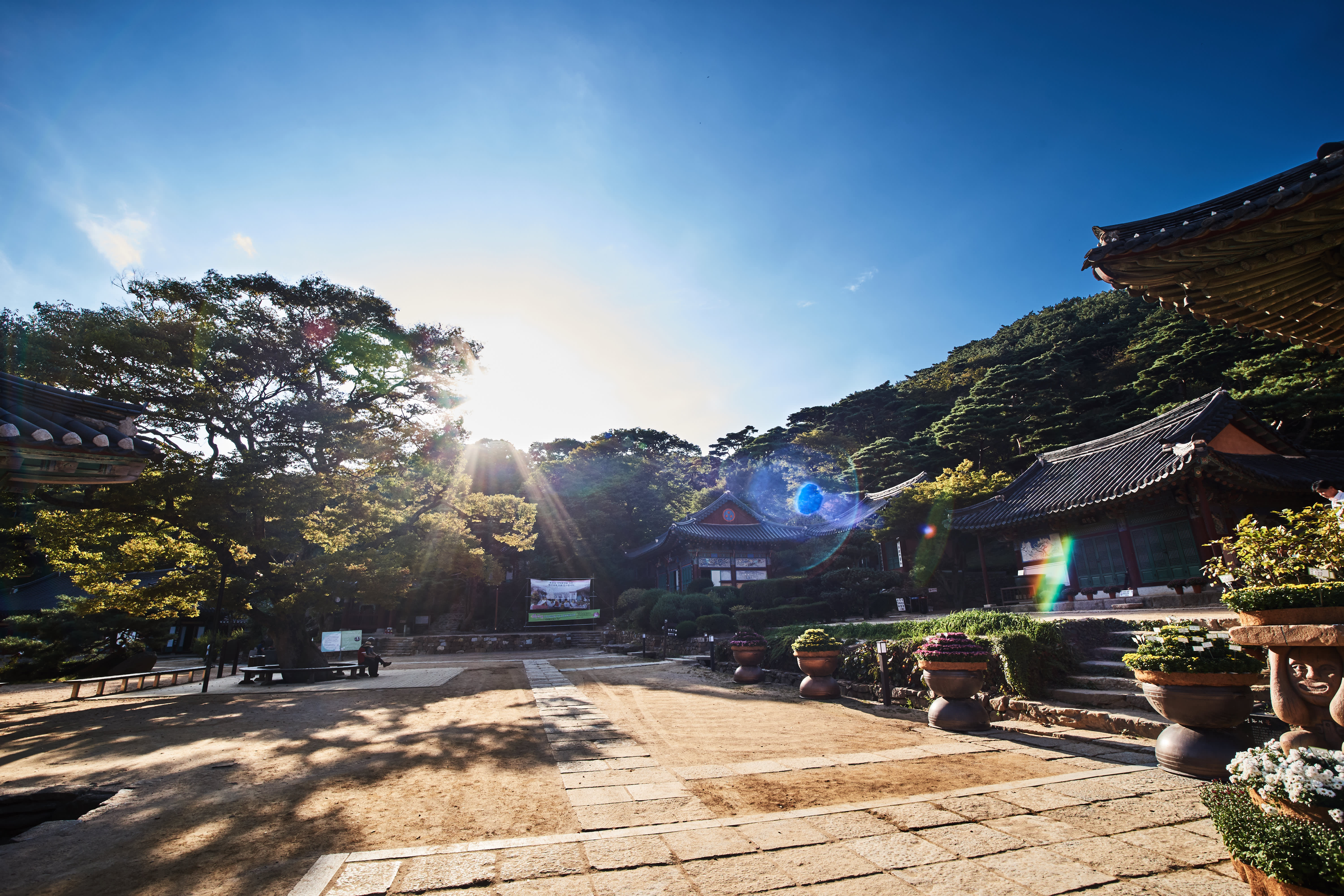 Ganghwa Island Private Car Charter (9-Hours)