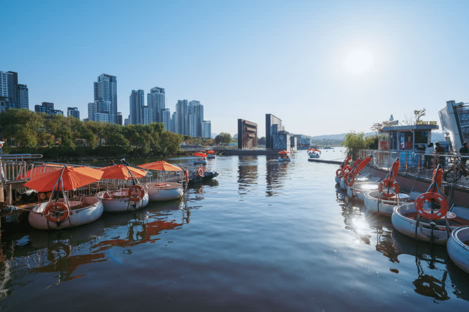 [ソウル] 漢江(ハンガン)盤浦(バンポ)セビッソムチューブスター搭乗チケット