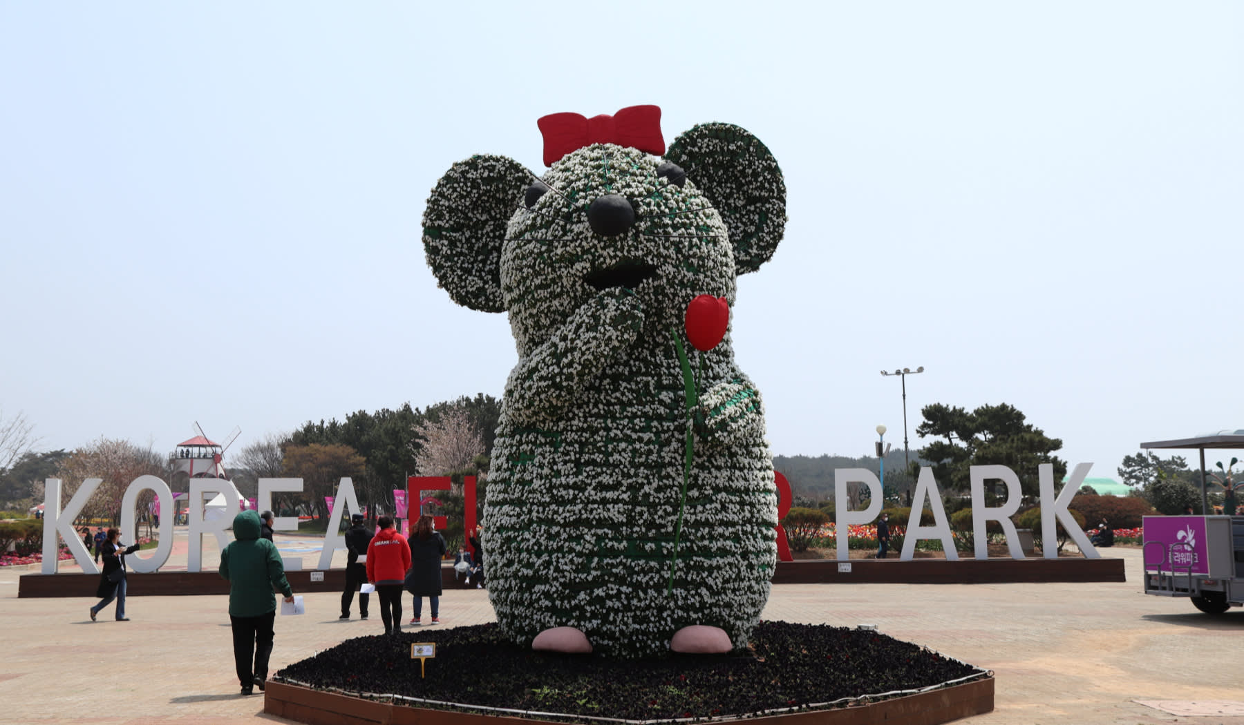 泰安世界チューリップ花博覧会・フラワーパーク 日帰りツアー