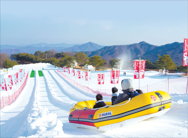 [From Seoul] Vivaldi Ski One Day Tour 