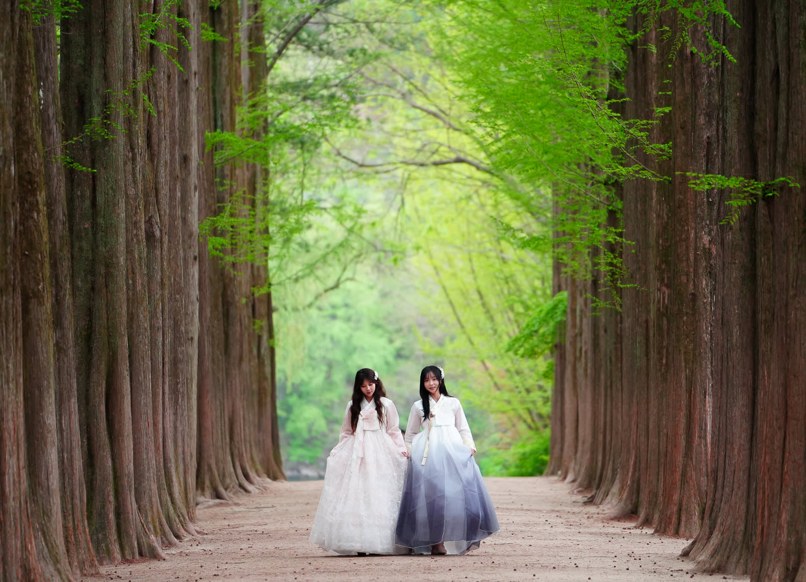 Nami Island Hanbok Rental Experience