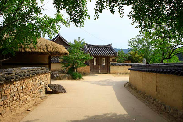 [ソウル発]世界遺産・安東「河回村」日帰り観光ツアー