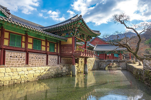 [釜山発]南道地方「順天」観光名所日帰りツアー「 順天湾湿地＋楽安邑城民俗村＋仙岩寺＋松広寺 」