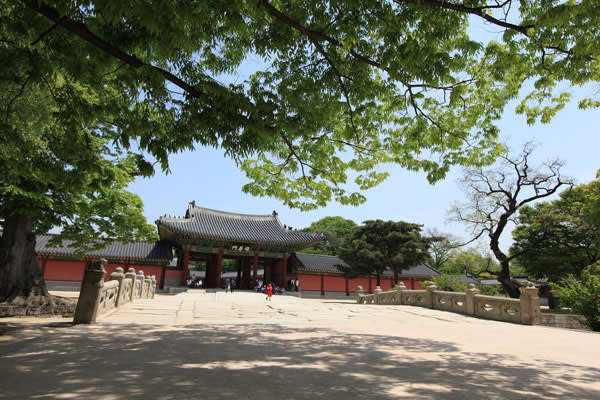 [世界遺産]昌徳宮＆秘苑（後苑）特別観覧ツアー