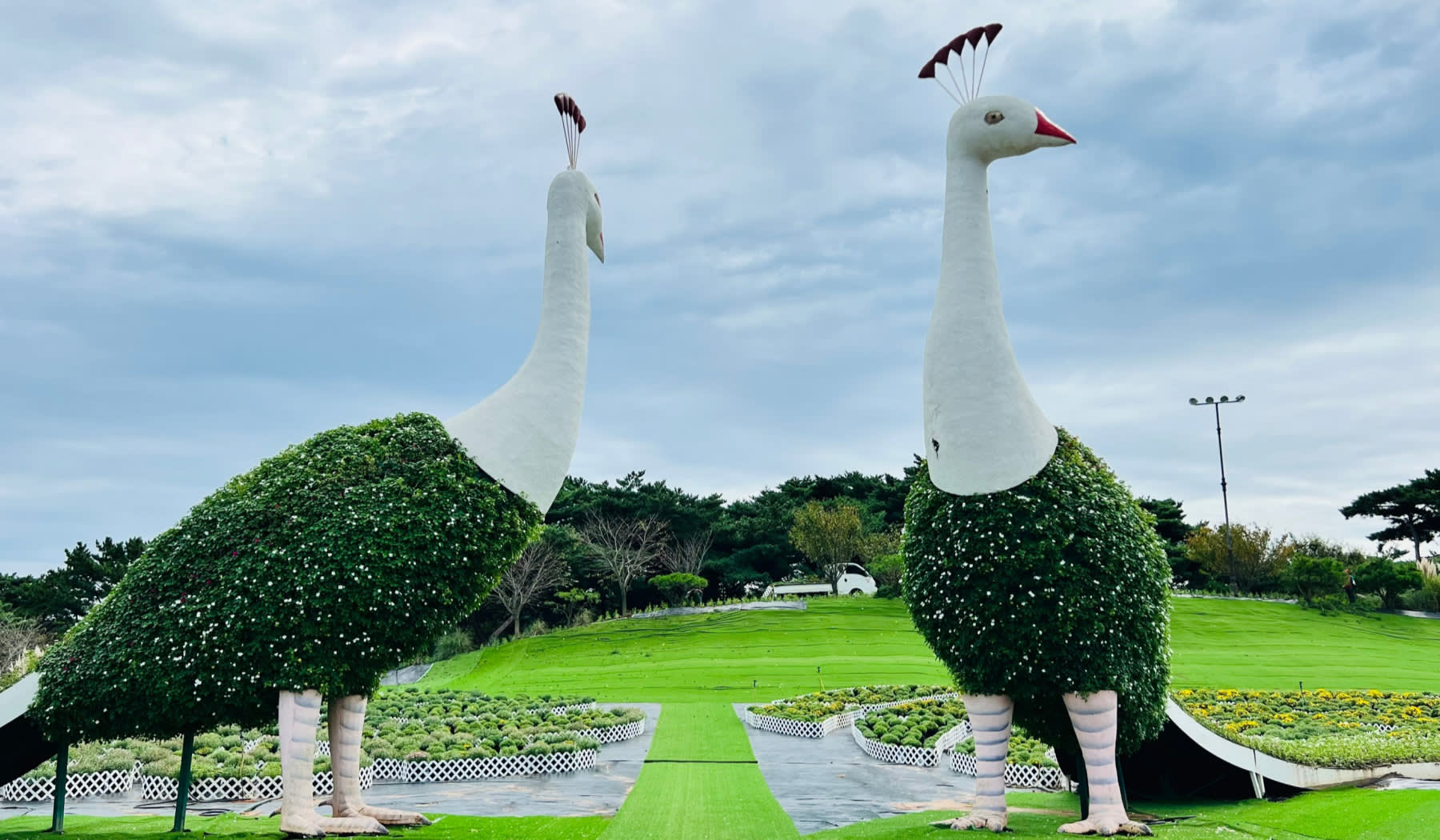 泰安世界チューリップ花博覧会・フラワーパーク 日帰りツアー