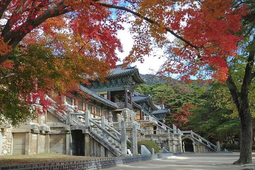 [Gyeongju] 2 Nights and 3 Days of Gyeongju UNESCO Feng Shui Tour
