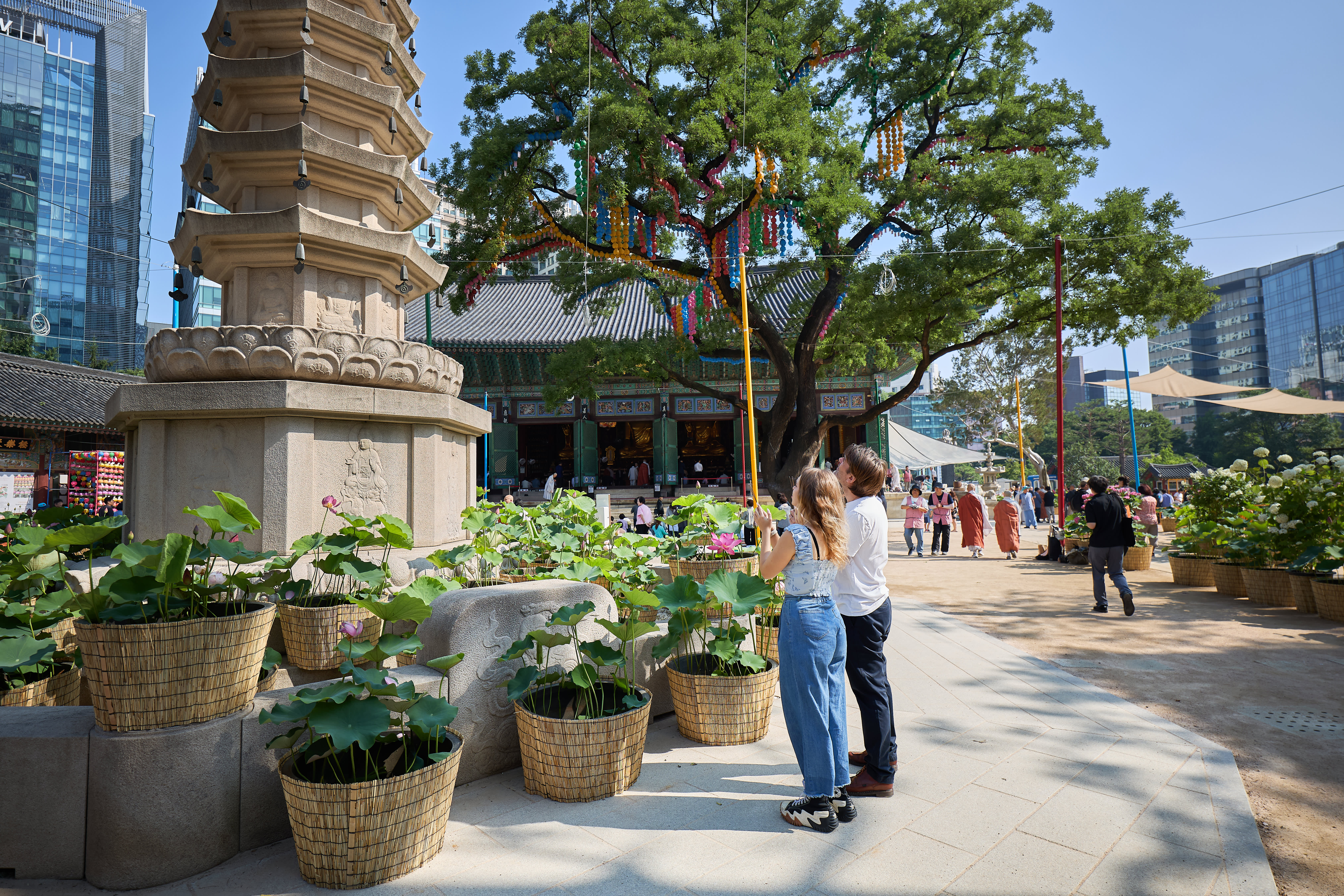Best Seoul Half-Day Tour