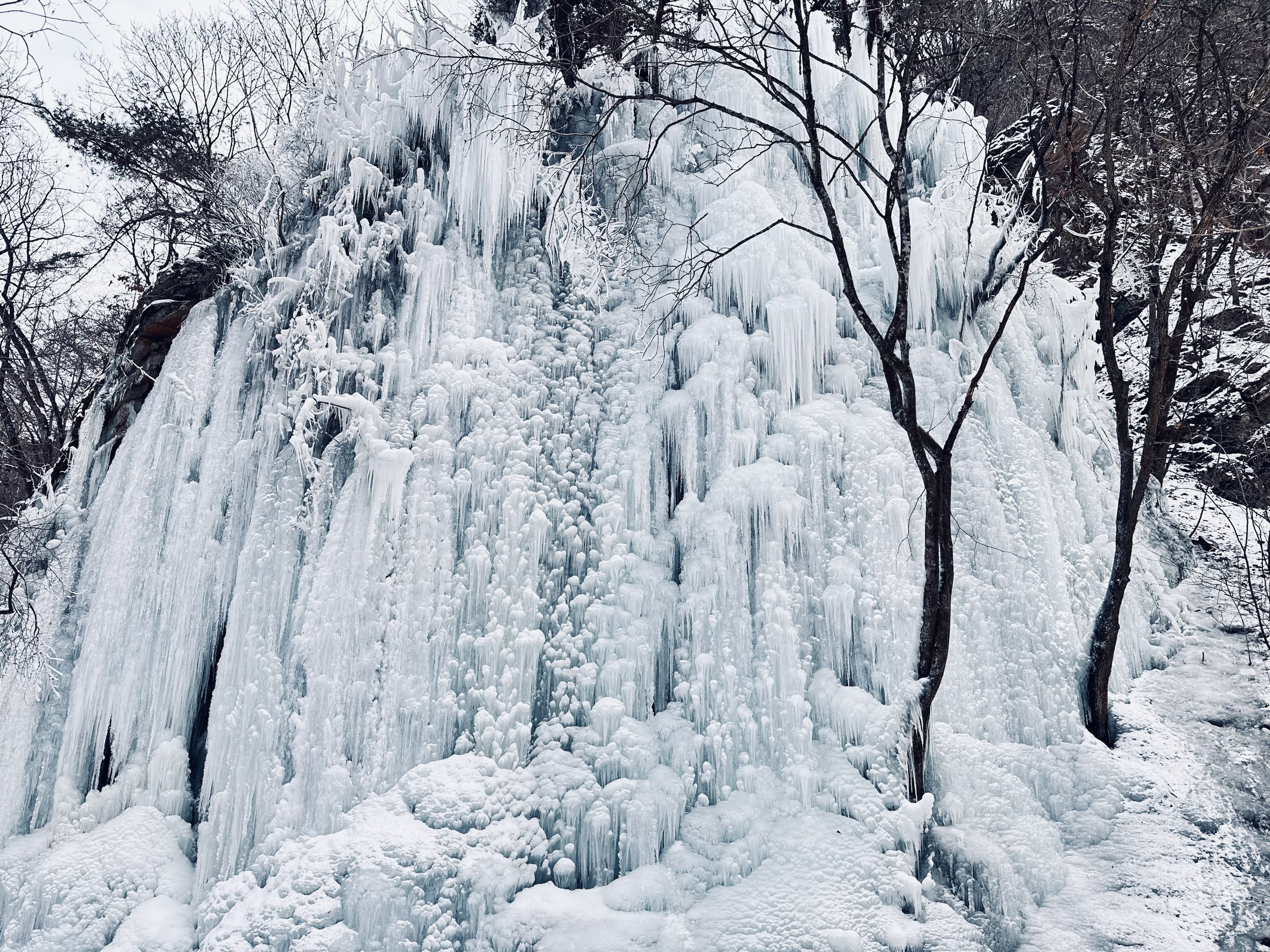 【冬季限定】2026江原道庆典一日游 - 华川山鳟鱼冰钓＆雪橇体验