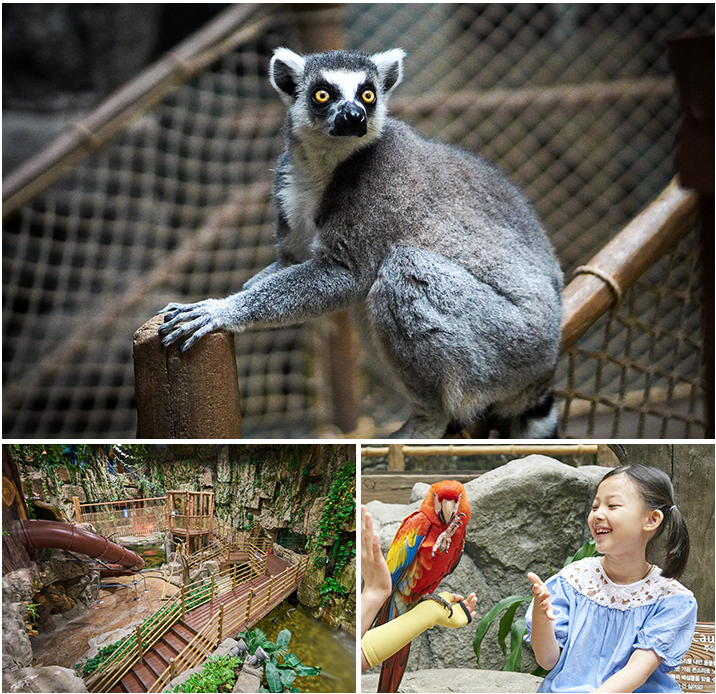 [Ilsan] Aqua planet Discount Ticket (Foreigner Only)