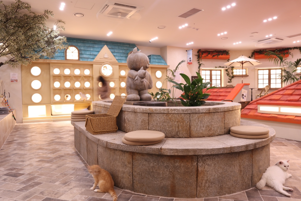 [弘大] ROOF CAT ME 猫咪咖啡店 弘大店 平日优惠入场券