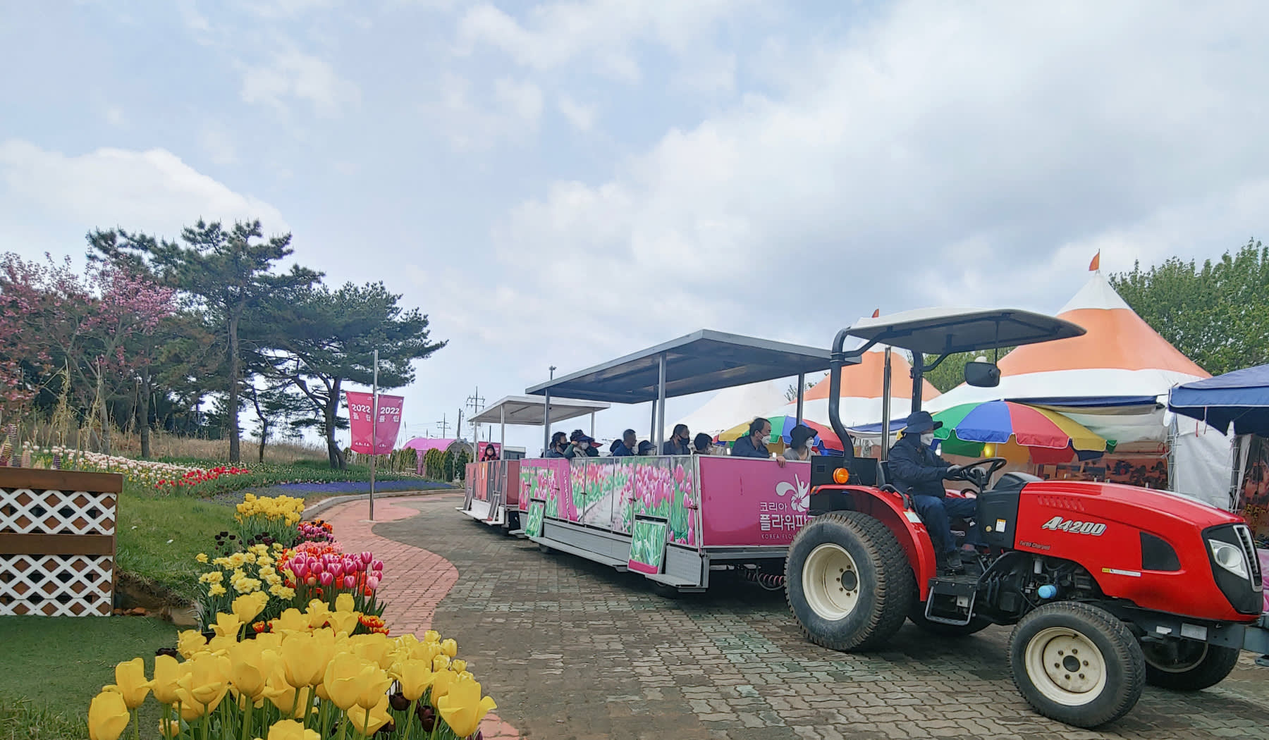 泰安世界チューリップ花博覧会・フラワーパーク 日帰りツアー