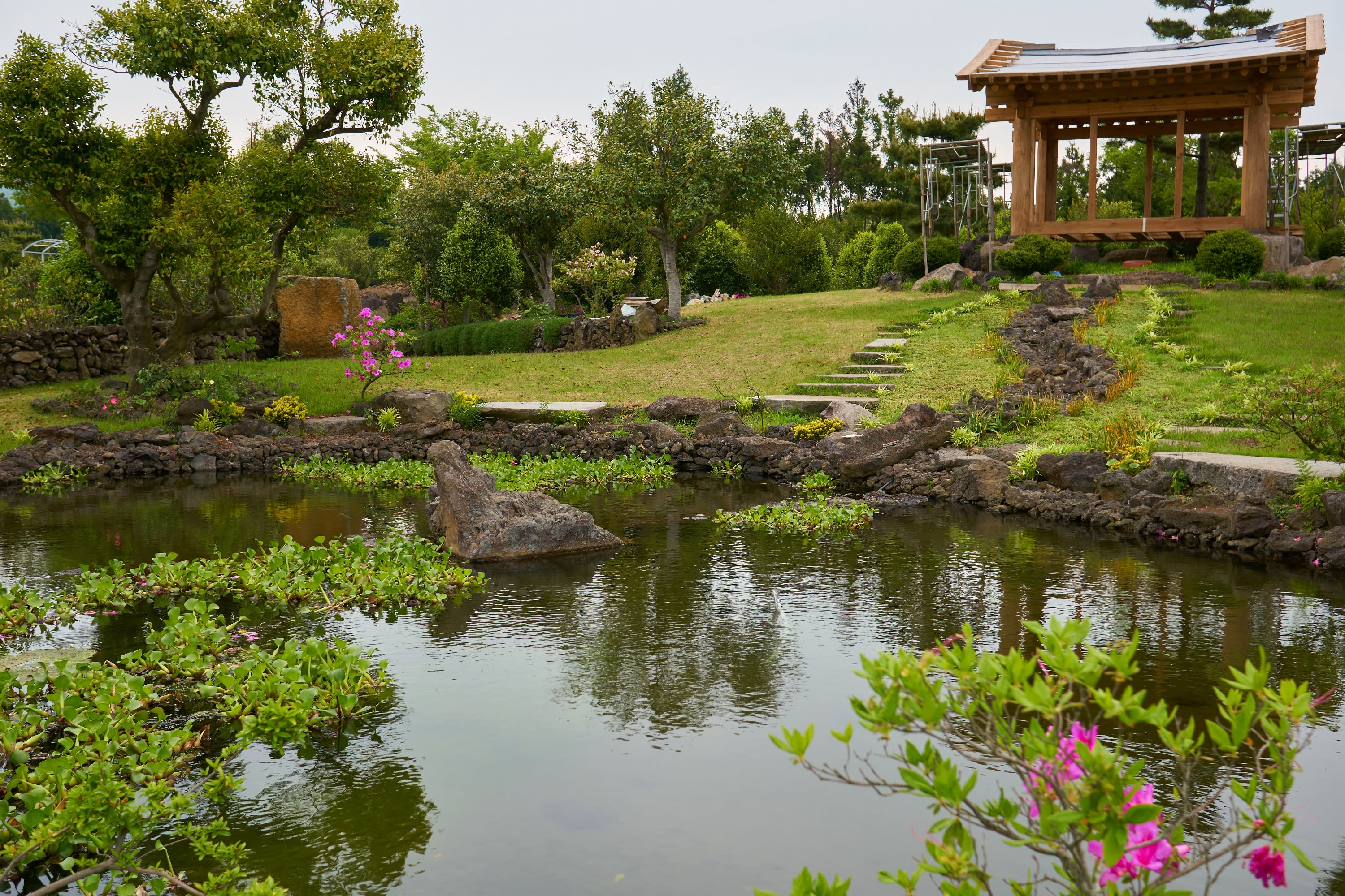 [Jeju] Camellia Hill Botanical Garden
